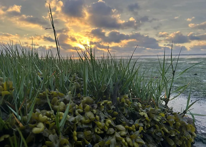 Gaestehaus Nuke 아파트 Langeneß